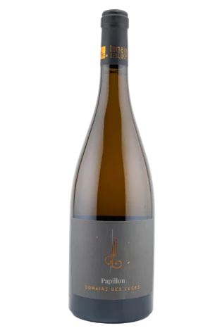 Papillon blanc 2023